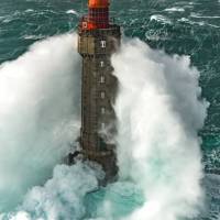 Force of nature 