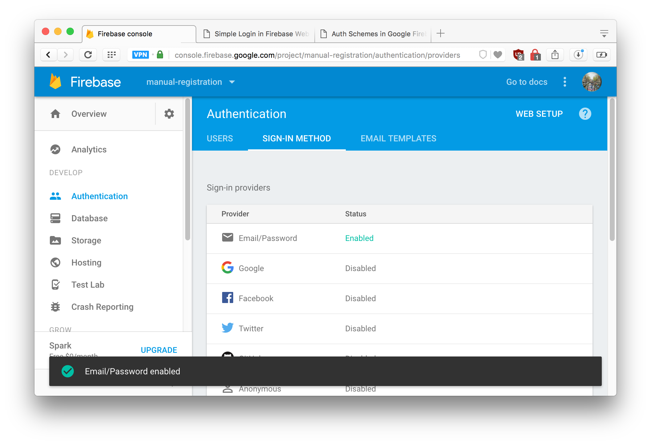 Enabled Email/Password Authentication Scheme