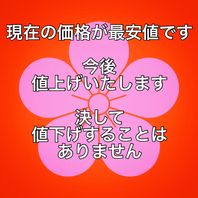 邪気払い 霊視 透視鑑定 占い 悩み解決