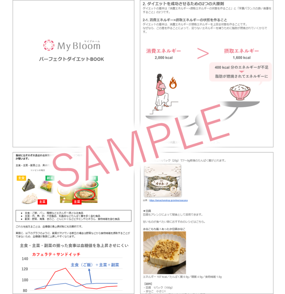 管理栄養士と作る理想の食生活！2ヵ月間ダイエットコーチング 