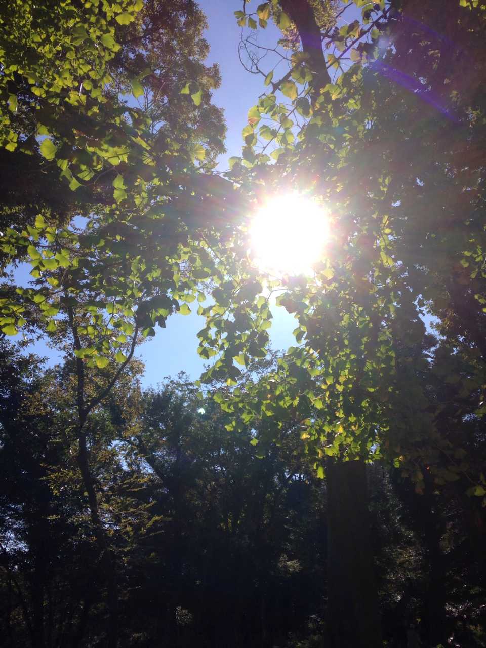 北村 昌子 タイムチケット