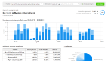 Screenshot: Auswertung eines Projekts