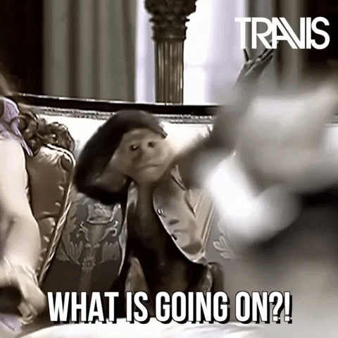 a confused monkey with what is going on written on the image.gif