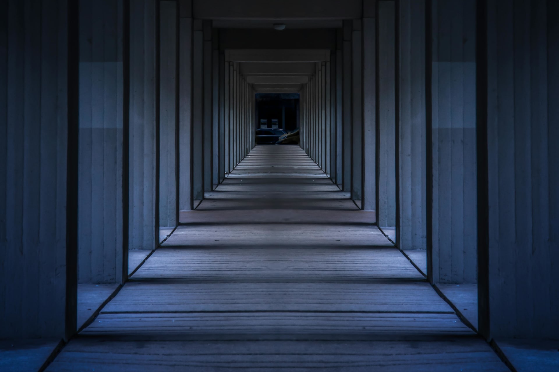 Gates to the Ancient Llama Gods