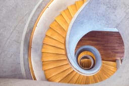 Galeriebild