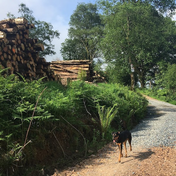 Keeper Hill Hike