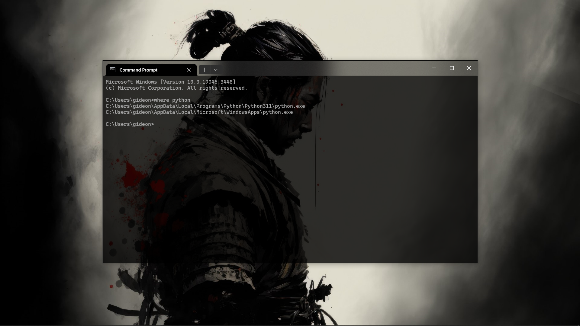 cmd prompt