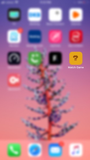 Final icon of the game on iOS