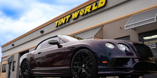 The Official Tint World® Blog - Tint World