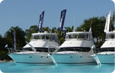 sail crimson tint volt neutral grey off white