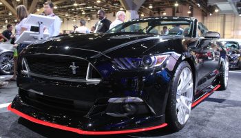 Black Car Grille