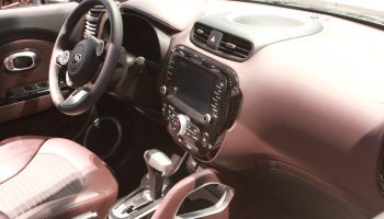 Purple Hue Interior