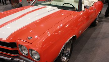 Red and White Car