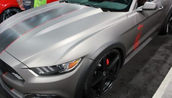 Gray Car Hood