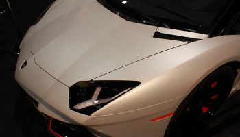 Hood of White Car