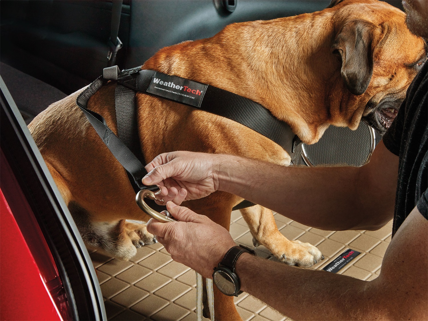 Weathertech clearance dog cover