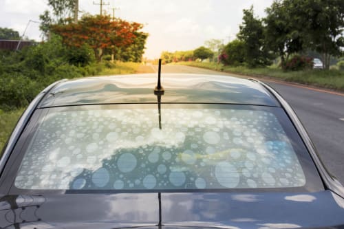 9 Common Problems With DIY Window Tint Kits