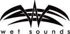 We sounds logo