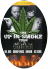 the-up-in-smoke-tour