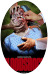 american-guinea-pig-bloodshock