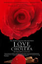 Love in the Time of Cholera