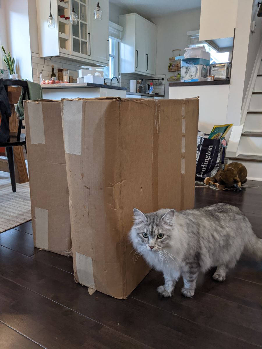 Table legs in their boxes, cat for scale.