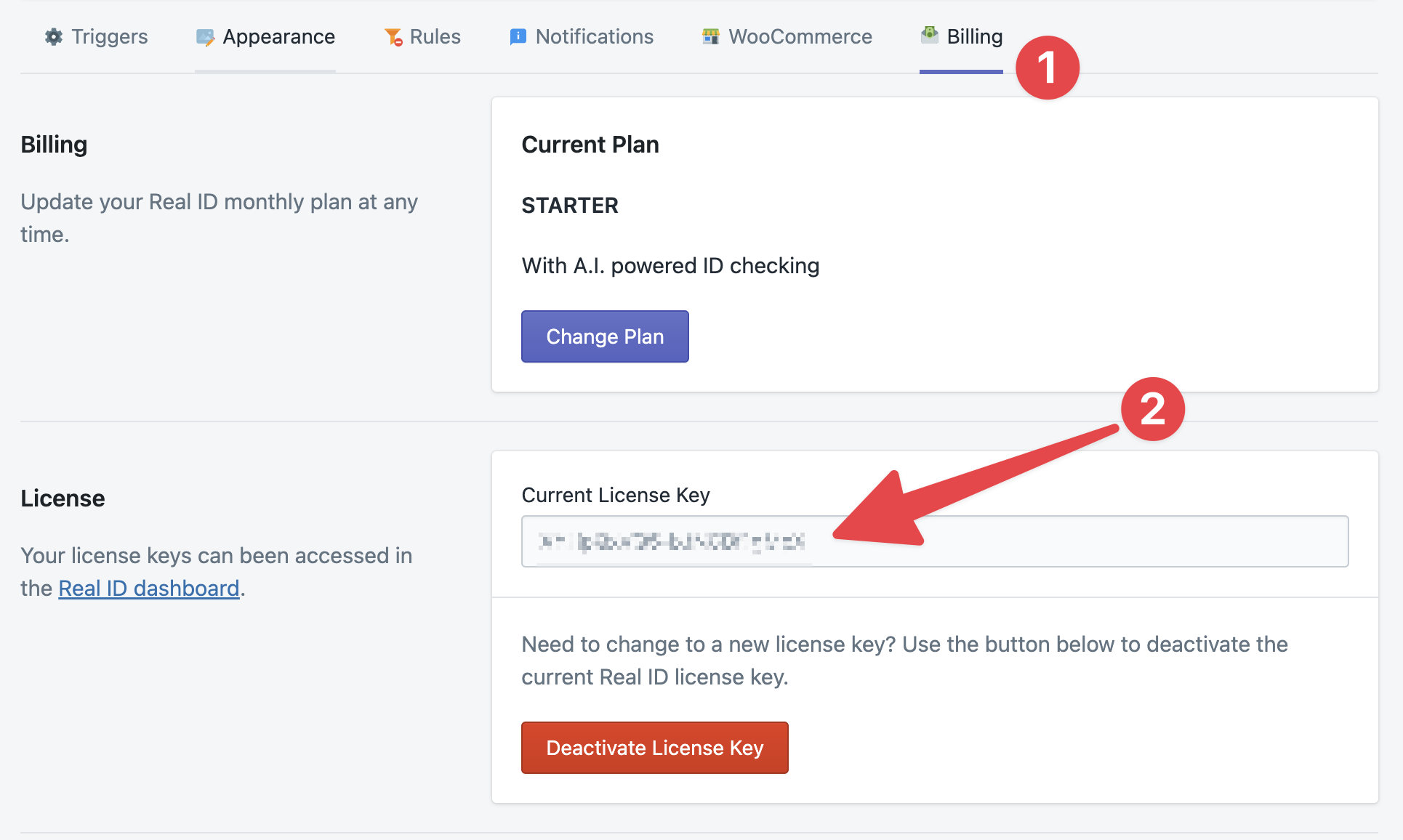 Viewing your currently activate Real ID license key from within the plugin