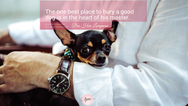 The Best Place To Bury A Dog Ben Hur Lampman Tiny Pet Memories