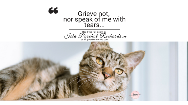 Isla Paschal Richardson Tiny Pet Memories