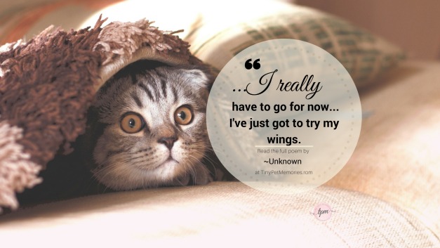 I Just Wanted To Let You Know That I Made It Home Tiny Pet Memories