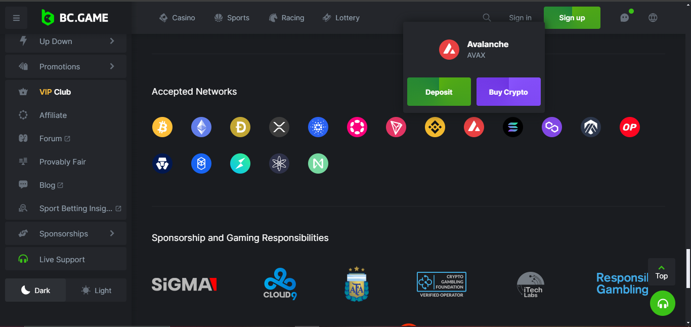 BC.game casino payment methods