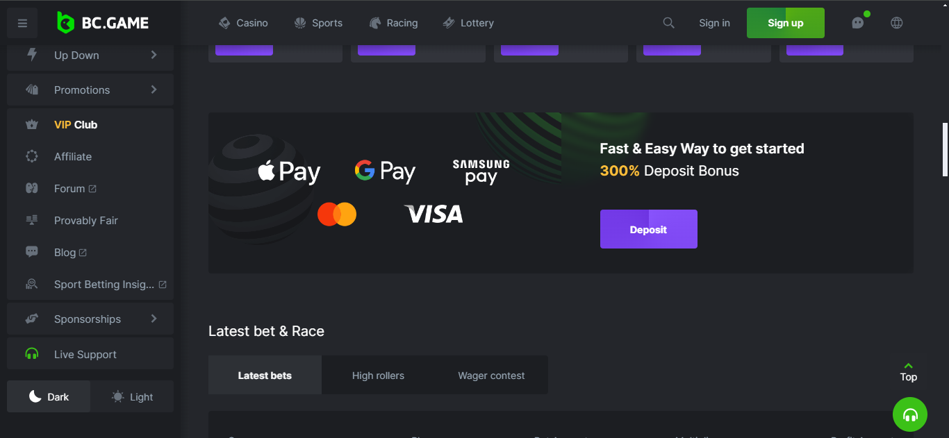 BC.game casino payment methods
