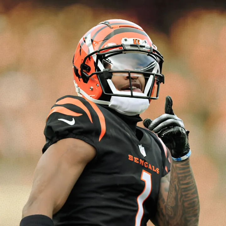 NFL Punter Wins $900 After Ja'Marr Chase Blitz