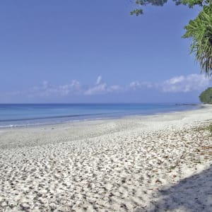 Barefoot Jungle Resort in Andamanen: 5in-barefoot-jungle-resort-andamanen_02