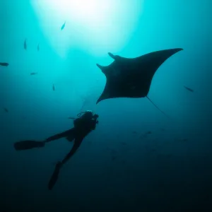 Tilar Siro Andamans in Andamanen:  Indien Tilar Siro Andamans