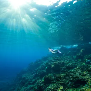 Tilar Siro Andamans in Andamanen:  Indien Tilar Siro Andamans