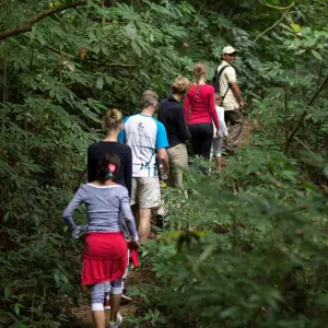 Munduk Moding Plantation Nature Resort in Nord-Bali:  Indonesien Bali Munduk Moding Plantation Wanderung