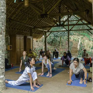 Munduk Moding Plantation Nature Resort in Nord-Bali:  Indonesien Bali Munduk Moding Plantation Yoga