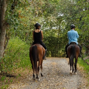 The Menjangan in Nord-Bali:  Indonesien Bali The Menjagan Ausritt 