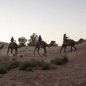 Touaregs Sahara Erg Lihoudi Standard Camp in Sahara Wüste | Drâa-Tal:  Marokko Sahara Erg Lihoudi Camp - Kamel