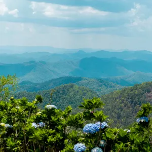 The Blue Jasmine - Heritage Zugreise ab Bangkok: activities: Thailand The Blue Jasmine Train - Picknick Hilltop