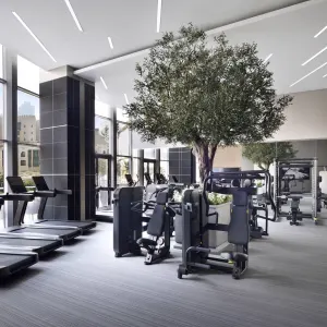 The Address Downtown in Dubai:  The Address Downtown - Gym