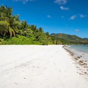 Bliss Praslin Seychelles:  Bliss Praslin Seychelles - Strand