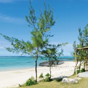 Constance Tekoma Rodrigues:  Constance Tekoma Rodrigues - Strand