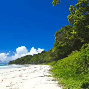 Barefoot Jungle Resort in Andamanen:  Indien Barefoot Jungle Resort Strand