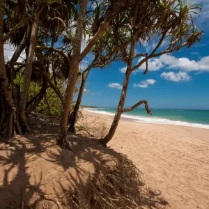 Buckingham Place in Südküste:  Sri Lanka Buckingham Place