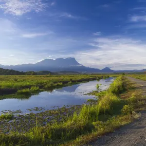 Mount Kinabalu Nationalpark, EN, Ganztägig in Kota Kinabalu: Borneo Sabah Mount Kinabalu