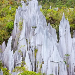 Mulu Nationalpark ab Kota Kinabalu: Borneo Sarawak Mulu Nationalpark