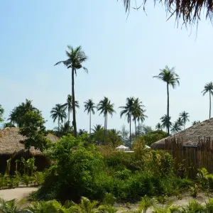 Tamu Koh Rong in Sihanoukville & Inseln:  Kambodscha Tamu Koh Rong Gartenblick
