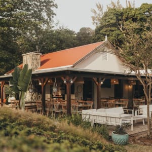 Kaz'alala in Süd | Südwesten:  Mauritius Kazalala